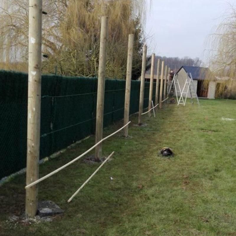 Réalisation - Arbres fruitiers palissés
