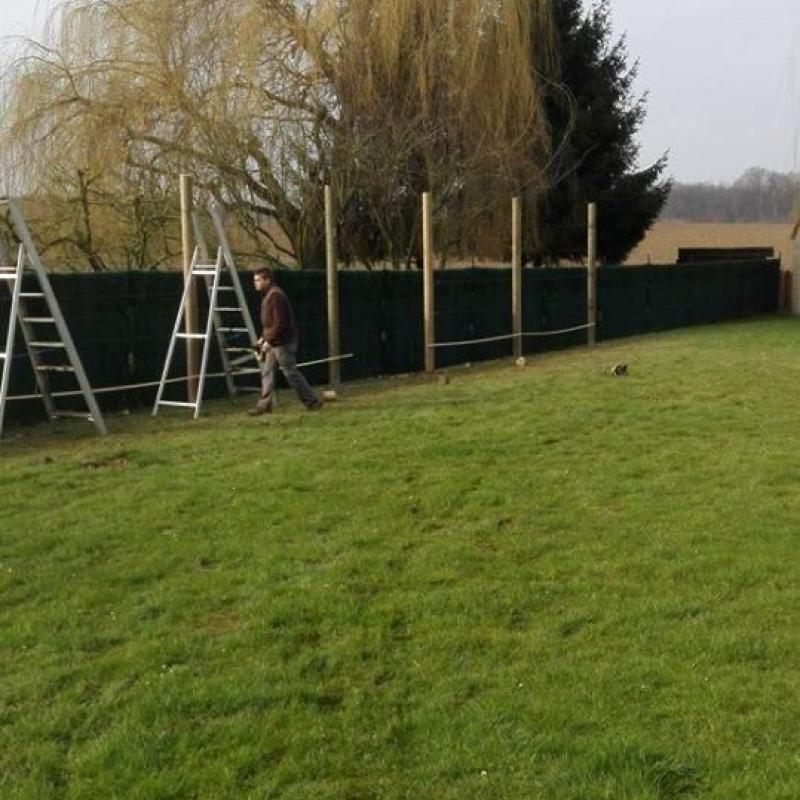 Réalisation - Arbres fruitiers palissés